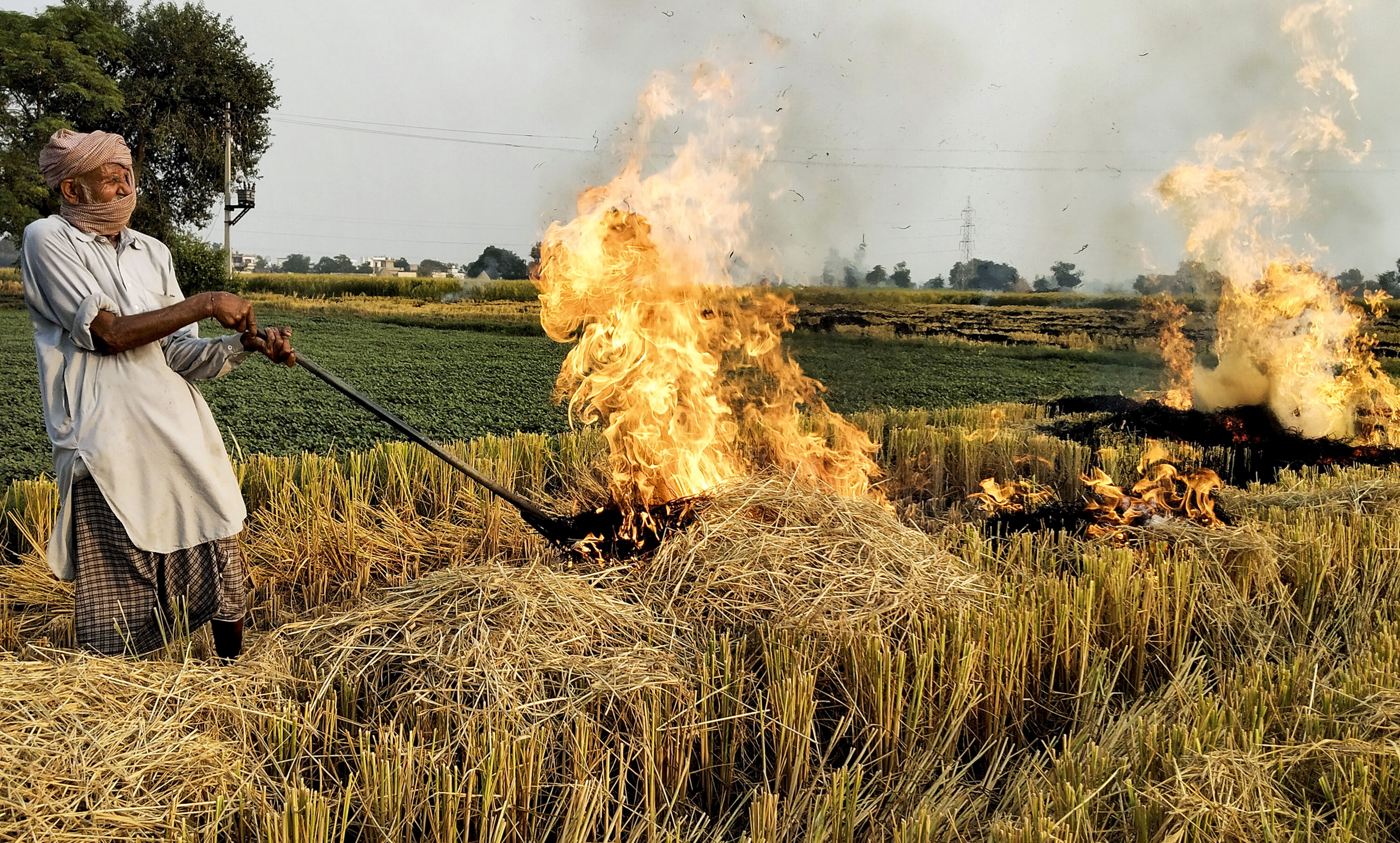 Stubble burning in Punjab